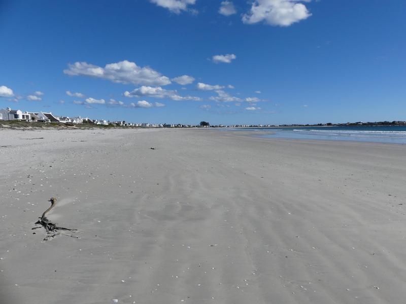 0 Bedroom Property for Sale in Shelley Point Western Cape